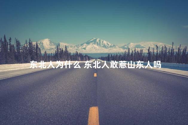 东北人为什么 东北人敢惹山东人吗